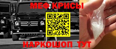 СК Гатчина