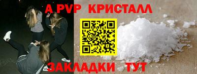 СК Гатчина