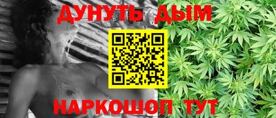 СК Гатчина