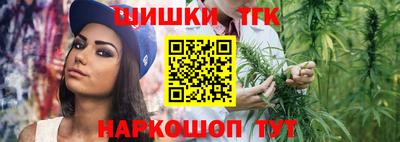 СК Гатчина