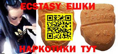 гидра Гай