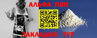 СК Гатчина