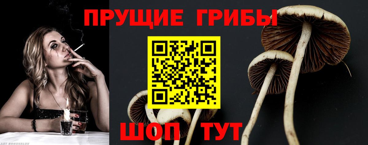 Псилоцибиновые грибы Magic Shrooms Трёхгорный